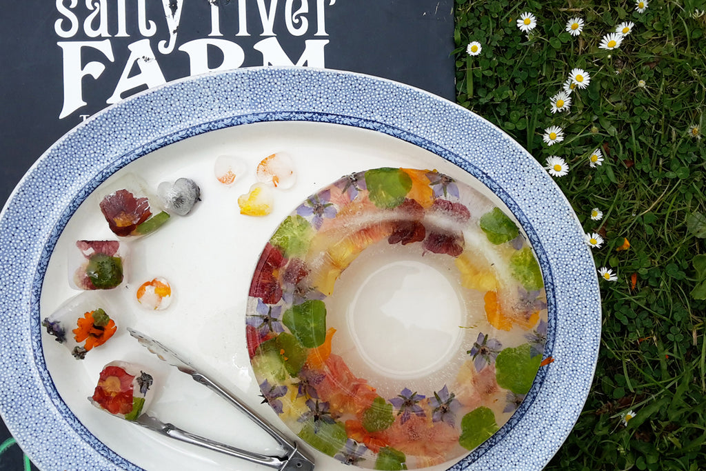 Edible flower ice cubes, ice rings and ice bowls!