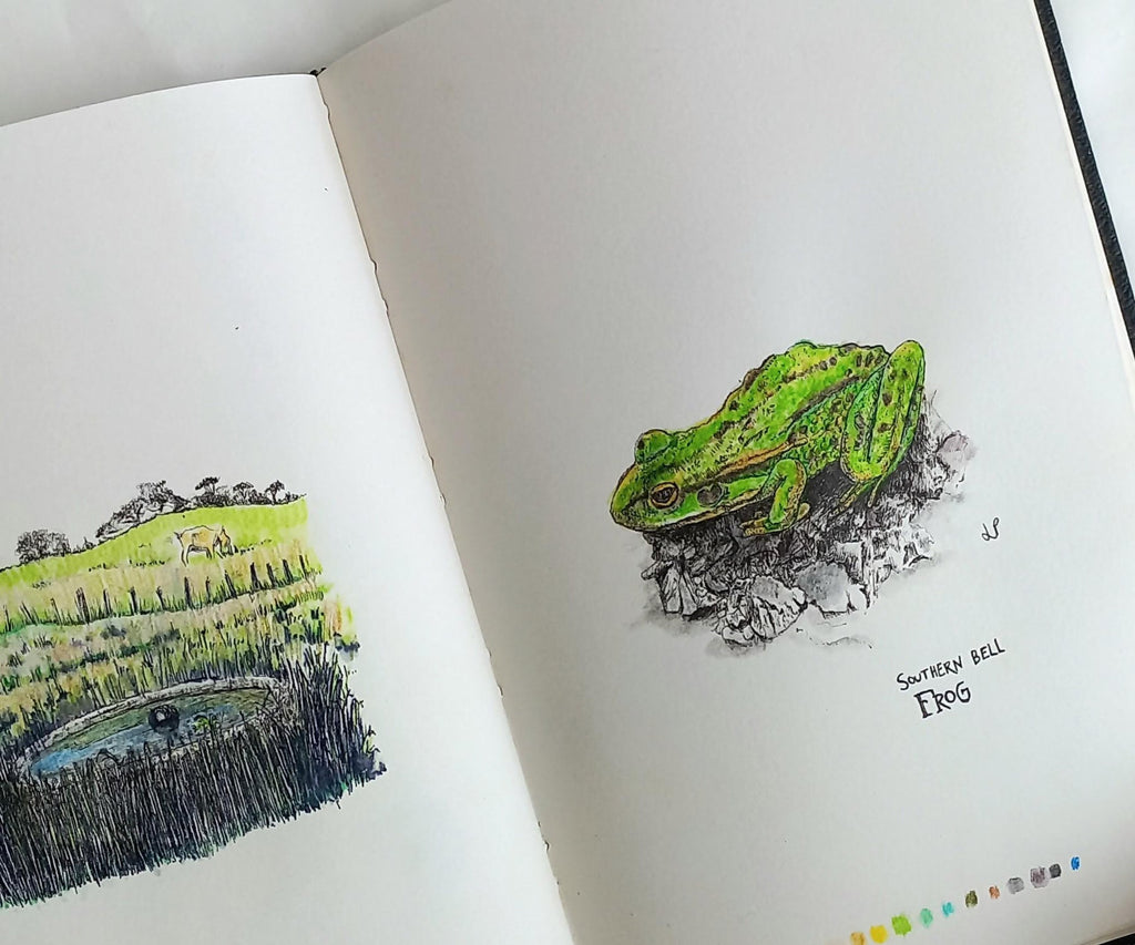 Mr Frog