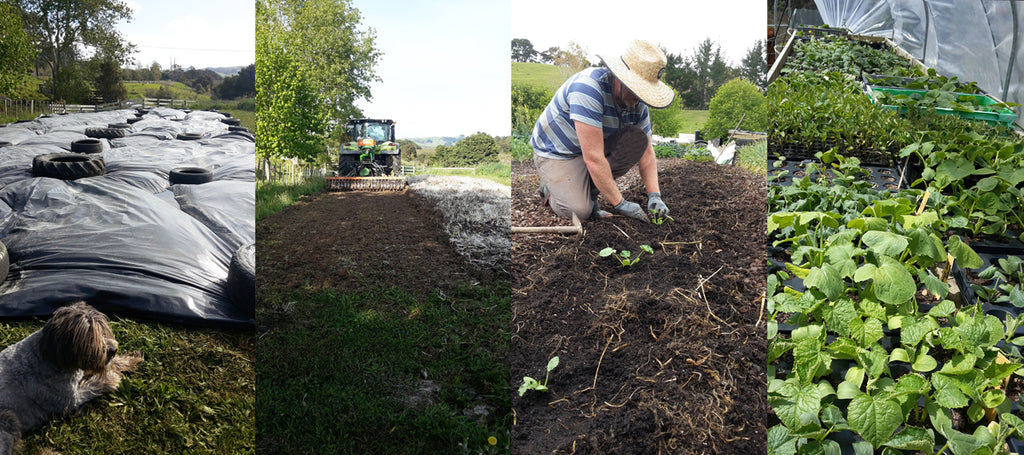 Preparing our soil for summer crops - spring 2020