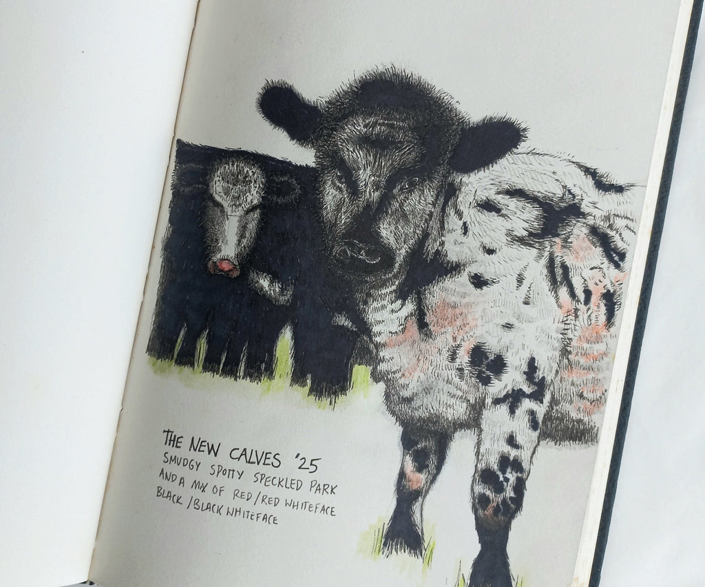 Who's the calf?