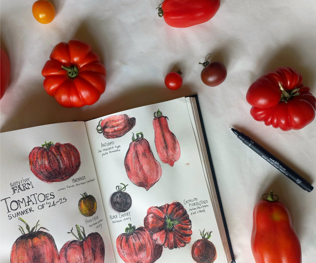 Salty River Farm tomatoes